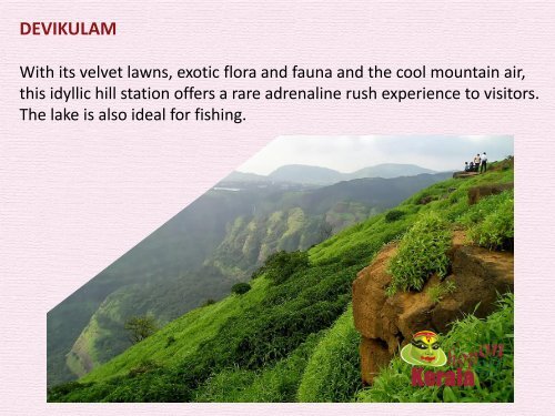 Munnar Tour Packages - Trip to Enchanting Hill Station