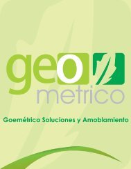 geometrico.pdf
