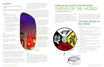 Activity Chapter 7 Turtle Families of the World Pg 24 - Toronto Zoo