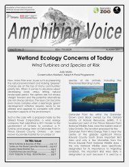 Wetland Ecology Concerns Of Today - Toronto Zoo