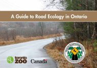 A Guide to Road Ecology in Ontario (pdf) - Toronto Zoo