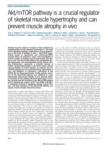 Akt-mTOR pathway is a crucial regulator of skeletal muscle hypertrophy and can prevent muscle atrophy in vivo