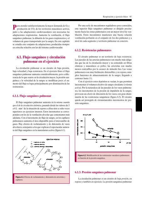 Estructura y funciÃ³n del mÃºsculo. Metabolismo muscular