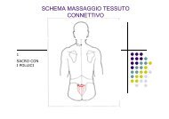 SCHEMA MASSAGGIO TESSUTO CONNETTIVO - Emindex