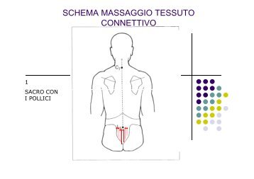 SCHEMA MASSAGGIO TESSUTO CONNETTIVO - Emindex