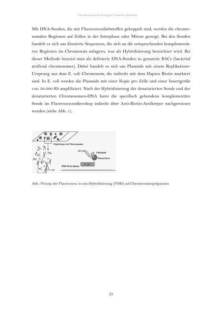 Chromosomen-Screening bei Tourette-Syndrom (pdf) Dissertation ...