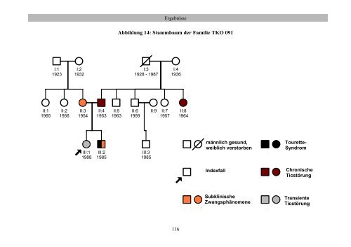 Familienuntersuchung zum Gilles de la Tourette-Syndrom (pdf)