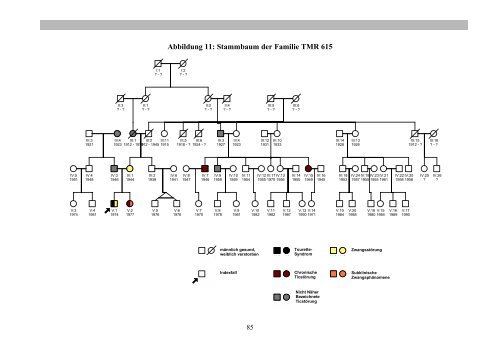 Familienuntersuchung zum Gilles de la Tourette-Syndrom (pdf)