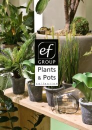 Plants & Pots II Euroflor