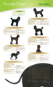 Andis Poodle Chart