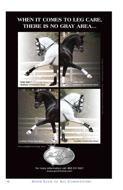 The Dressage Affaire