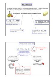 Les acides gras Structure des acides gras - Biologie