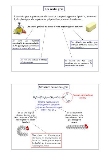 Les acides gras Structure des acides gras - Biologie