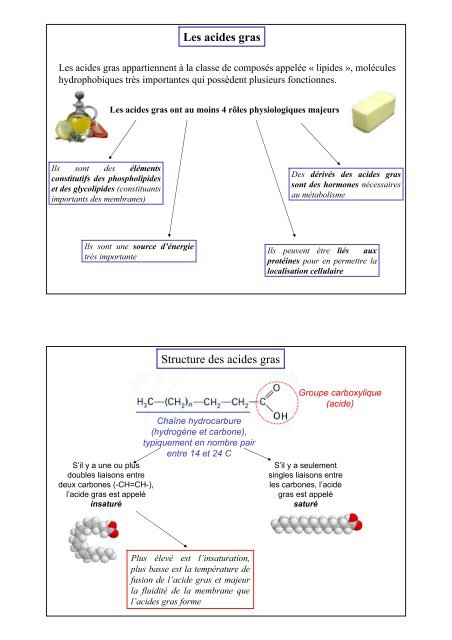 Les acides gras Structure des acides gras - Biologie