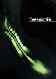 2010 Annual Report - RIKEN CDB