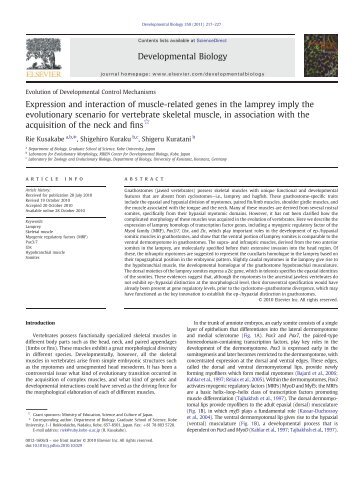 Expression and interaction of muscle-related genes in ... - RIKEN CDB