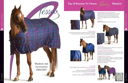 english riding accessories