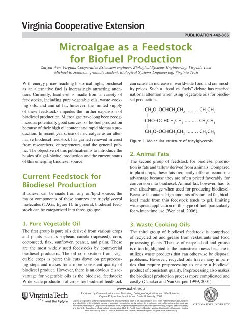 Microalgae as a Feedstock for Biofuel Production - Virginia ...