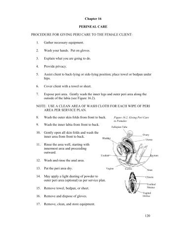 120 Chapter 16 PERINEAL CARE PROCEDURE FOR GIVING PERI ...