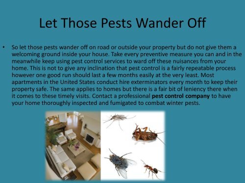 Tackling Winter Pests