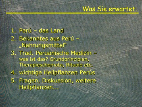 Traditionelle peruanische Medizin: Historische ... - Entheovision