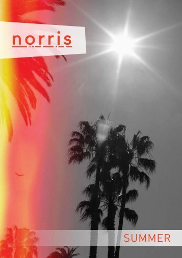 SUMMER - Norris Hair & Beauty