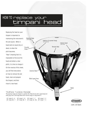 timpani head - Evans Drumheads