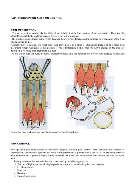 pain persception and pain control pain persception pain control