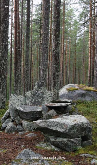 I BRÄCKE KOMMUN - Veolia Transport