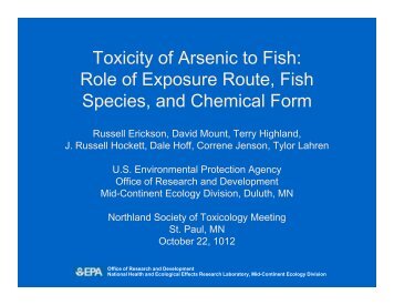Toxicity of Arsenic to Fish - Society of Toxicology