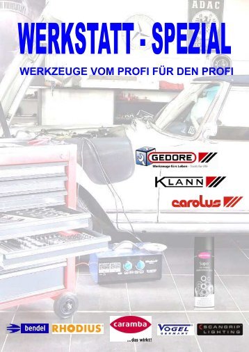 WERKZEUGE VOM PROFI FÃR DEN PROFI - Gedore