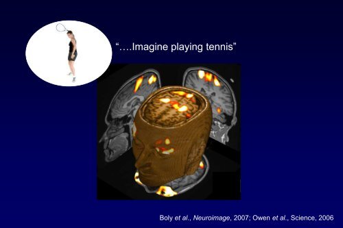 et al - Organization for Human Brain Mapping