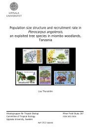 Population size structure and recruitment rate in Pterocarpus ...
