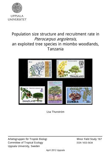 Population size structure and recruitment rate in Pterocarpus ...