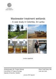 Wastewater treatment wetlands - A case study in Colombo, Sri Lanka