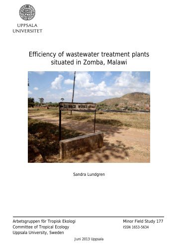 Efficiency of wastewater treatment plants situated in Zomba, Malawi