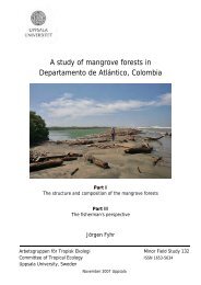 A study of mangrove forests in Departamento de AtlÃ¡ntico, Colombia