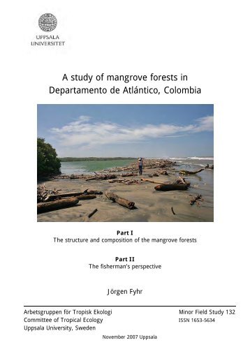 A study of mangrove forests in Departamento de AtlÃ¡ntico, Colombia