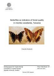 Butterflies as indicators of forest quality in miombo woodlands ...