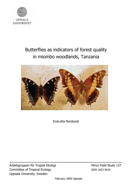 Butterflies as indicators of forest quality in miombo woodlands ...
