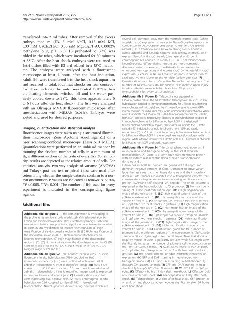 PDF - Neural Development