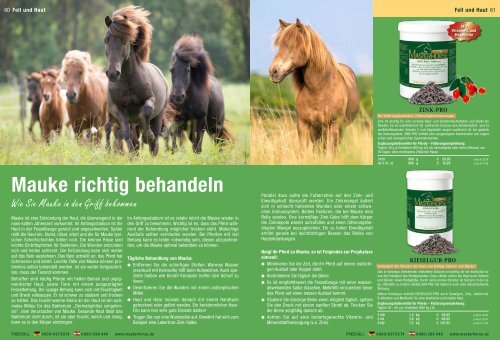 Katalog als Download - Masterhorse GmbH