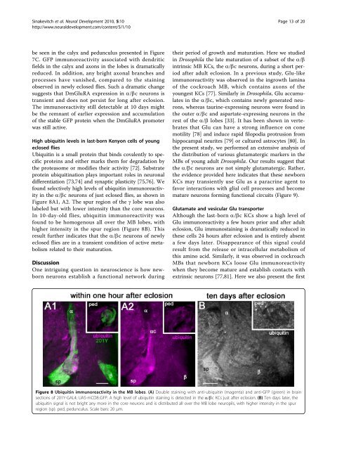 Dynamics of glutamatergic signaling in the mushroom ... - HAL - ESPCI