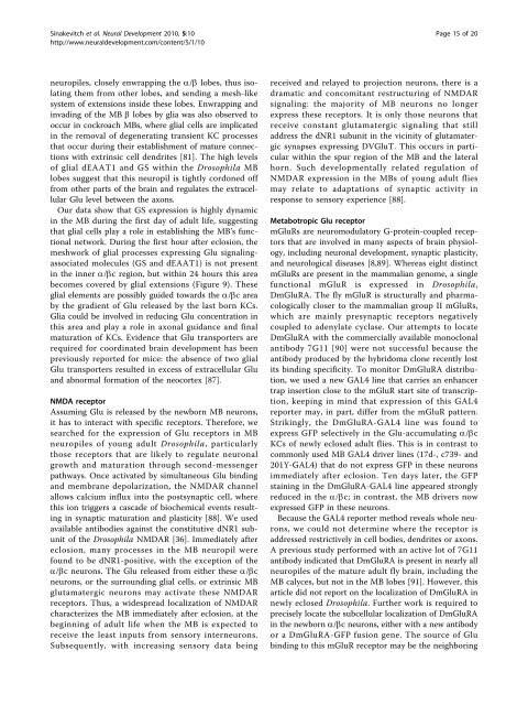 Dynamics of glutamatergic signaling in the mushroom ... - HAL - ESPCI