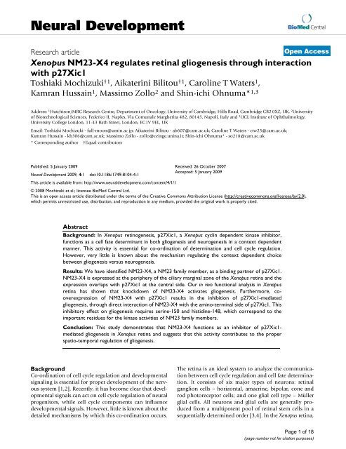 Neural Development - BioMed Central