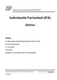 Individuelle Facharbeit (IFA)
