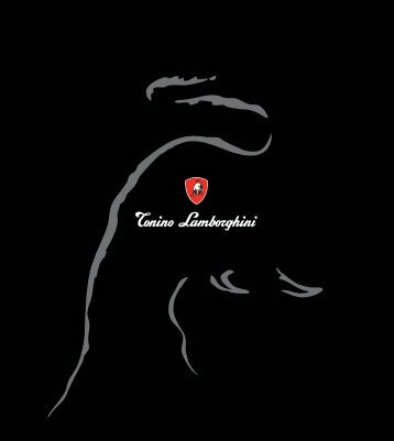 l'azienda - Tonino Lamborghini