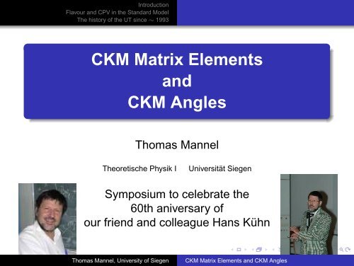 CKM Matrix Elements and CKM Angles - Theoretische Physik 1 ...