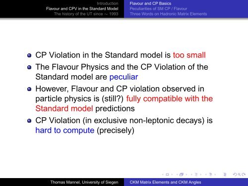 CKM Matrix Elements and CKM Angles - Theoretische Physik 1 ...