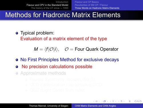 CKM Matrix Elements and CKM Angles - Theoretische Physik 1 ...